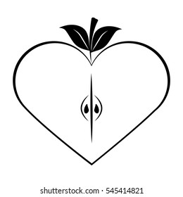 apple fruit in heart shape over white background. vector illustration