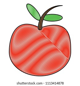 apple fruit icon