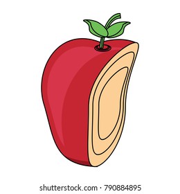 apple fruit icon