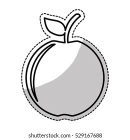 apple fruit icon image vector illustration design 