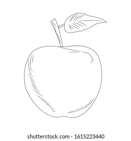 apple fruit icon over white background, sketch design, vector illustration