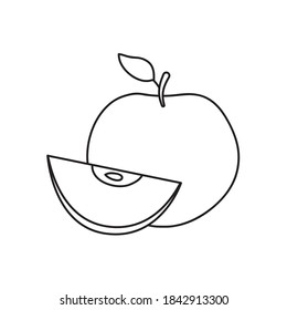 apple fruit icon over white background, line style, vector illustration