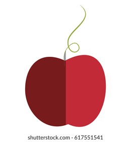 apple fruit isolated icon