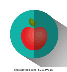 apple fruit isolated icon