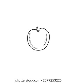 Apple fruit isolated on white background. Hand drawn vector sketch illustration in doodle engraved vintage line art style. Juicy fruit, icon design, sticker, menu, recipe ingredient, cooking