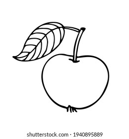 Apple fruit with leaf hand drawn sketch isolated on white background. Doodle Outline vector illustration. Black white apple isolated on white background. Design Power Collection, Vector Illustration