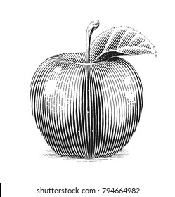 Apple fruit with leaf. Scratch board style. Organic healthy food. Vector illustration.