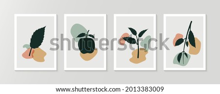 Apple fruit leaves plant botanical wall art 4 set design. Canvas of 18 inch width and 24 inch height.