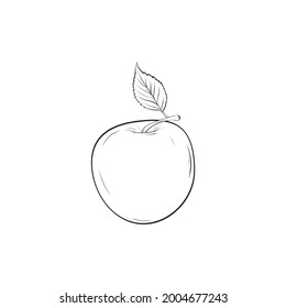 Ilustraciones vectoriales dibujadas a mano por Apple. Producto del mercado agrícola.