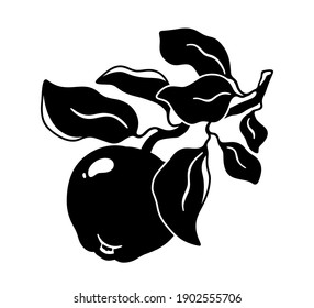 Apple fruit on branch with leaves. Graphic hand drawn silhouette. Black simple illustration for packaging design. Botanic print, poster, tattoo. Flat isolated vector, white background