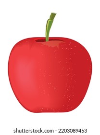 apple fruit realistic isolated icon