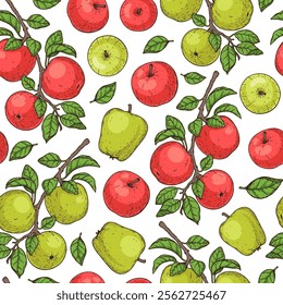 Apple fruit seamless pattern. Hand drawn vector illustration. Apple pattern.	