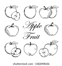 Apple fruit set hand drawn vector illustration sketch