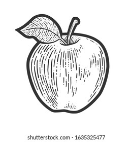 Apple fruit sketch engraving vector illustration. T-shirt apparel print design. Scratch board imitation. Black and white hand drawn image.