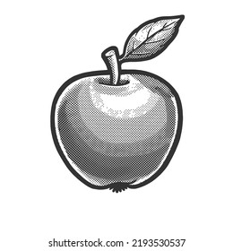 apple fruit sketch engraving vector illustration. Scratch board imitation. Black and white hand drawn image.
