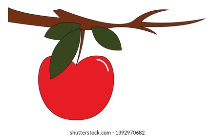  fruta de maçã com três folhas verdes  