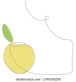 Apple fruit tree on white background line drawing