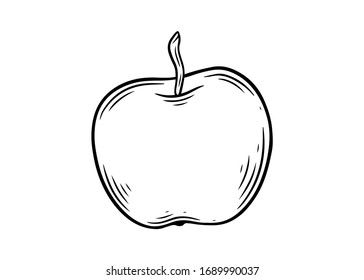 Apple fruit vector. Engraved organic food hand drawn sketch engraving illustration. Black white apple isolated on white background.