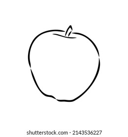 Apple fruit vector illustration. Engraved organic food hand drawn sketch engraving illustration. Black white apple isolated on white background.