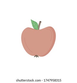 Apple fruit vector illustration icon. Hand drawn red apple. Isolated.