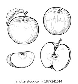 Apple fruit vector illustration. Isolated on a white background.