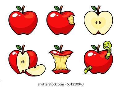 Apple fruit vector set. 