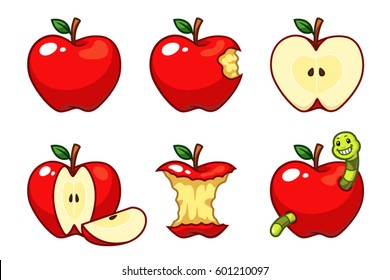 Apple fruit vector set. 