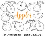 Apple fruit vector set. Engraved organic food hand drawn sketch engraving illustration. Black white apple isolated on white background.