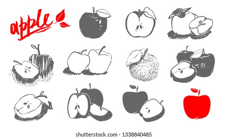 Apple fruit vector set.  Food hand drawn sketch illustrations in different styles.