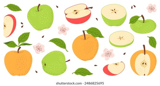 Apple fruit vector set. Whole, half, slice of red green and yellow apple fruit with green leaves and flowers collection. Hand drawn flat style isolated Vector illustration