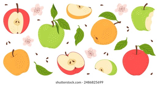 Apple fruit vector set. Whole, half, slice of red green and yellow apple fruit with green leaves and flowers collection. Hand drawn flat style isolated Vector illustration