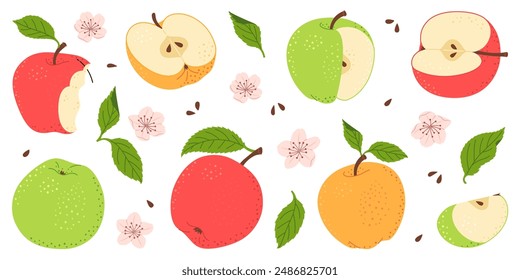 Apple fruit vector set. Whole, half, slice of red green and yellow apple fruit with green leaves and flowers collection. Hand drawn flat style isolated Vector illustration