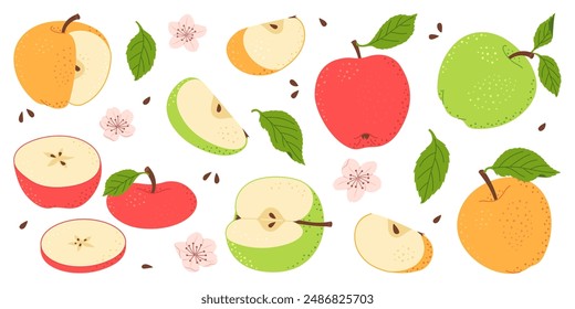 Apple fruit vector set. Whole, half, slice of red green and yellow apple fruit with green leaves and flowers collection. Hand drawn flat style isolated Vector illustration