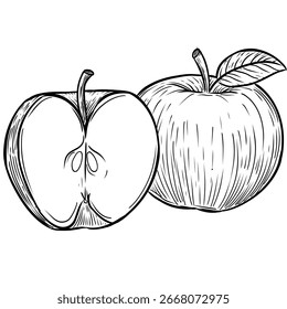 Fruta de manzana entera y rebanada dibujado a mano ilustración