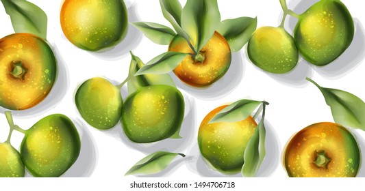 Apple fruits pattern Vector watercolor. Top view autumn harvest