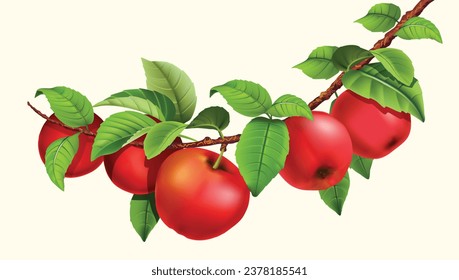 Apple fruits in red color green leaves vector shape for background design.