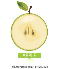 Apple fruits vector illustration
