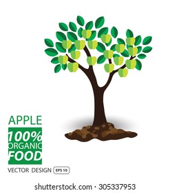 Apple, fruits vector illustration.