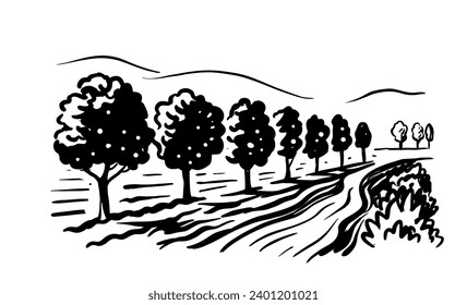 Apple garden landscape sketch illustration