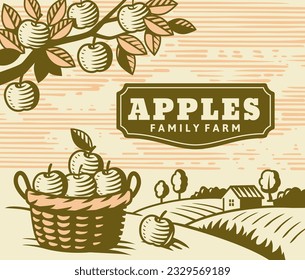 Apple garden on farm. Village and fruit harvest