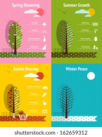 Apple Garden Seasons Infographics Elements. Infographic vector illustration with icons. Vector EPS8.
