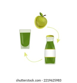 apple and glass with juice. food vector illustration