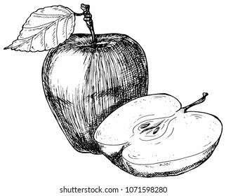 apple from graphic