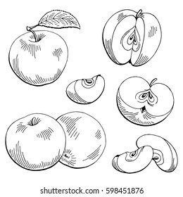 Apple graphic black white isolated sketch illustration vector