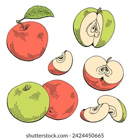 Apple graphic color isolated sketch illustration vector