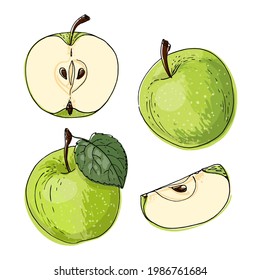 Apple green fruits. Vector food icons of fruits. Colored sketch of food products.