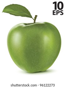 Apple with green leaf. Vector illustration