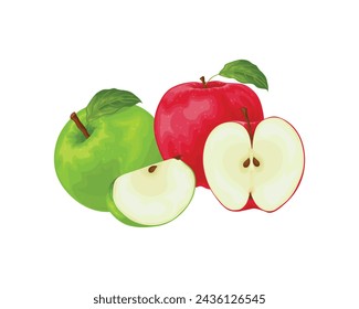 Apple. A green and red apples in a section. Ripe garden fruit. Vector illustration isolated on a white background