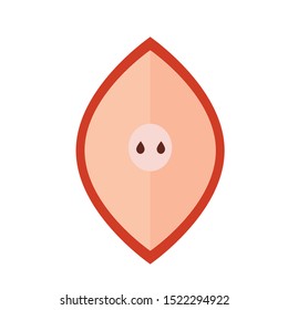 apple half autumn fruit seasonal isolated icon vector illustration design