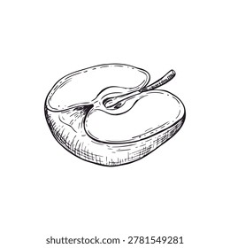 Apple half drawing 